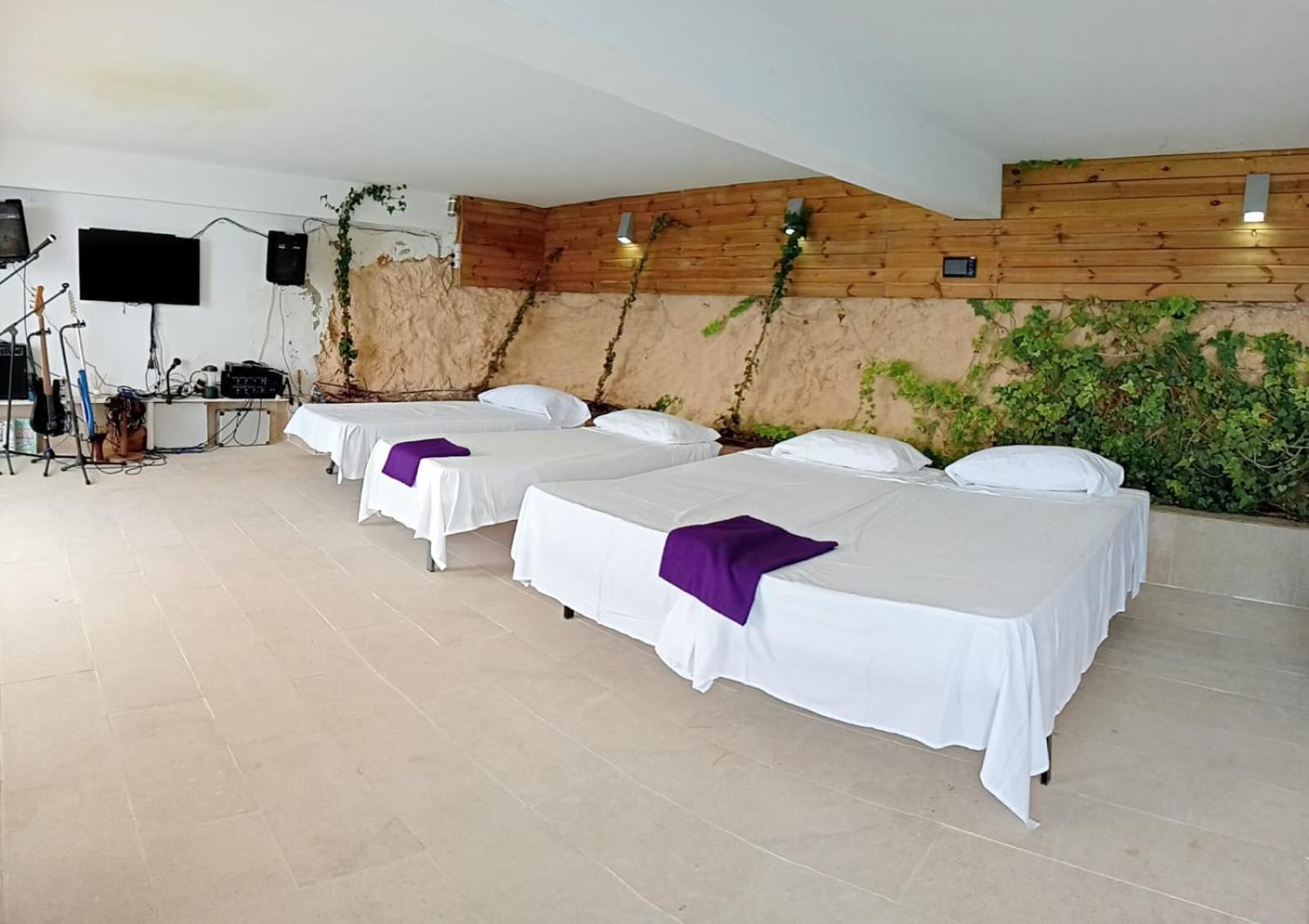 Exclusive Seafront Villa,Private Pool,Gym,Bbq El Toro  Exterior foto